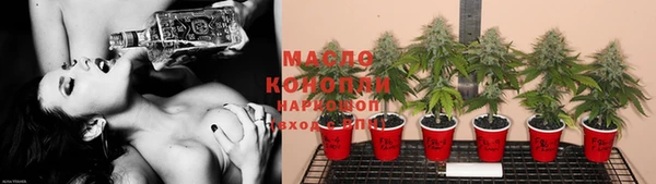 ECSTASY Алзамай