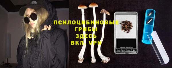 mix Алексин