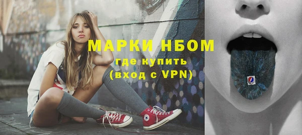 ECSTASY Алзамай
