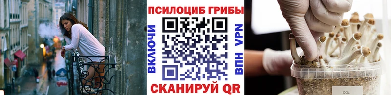 kraken Бокситогорск Псилоцибиновые грибы мицелий хочу наркоту